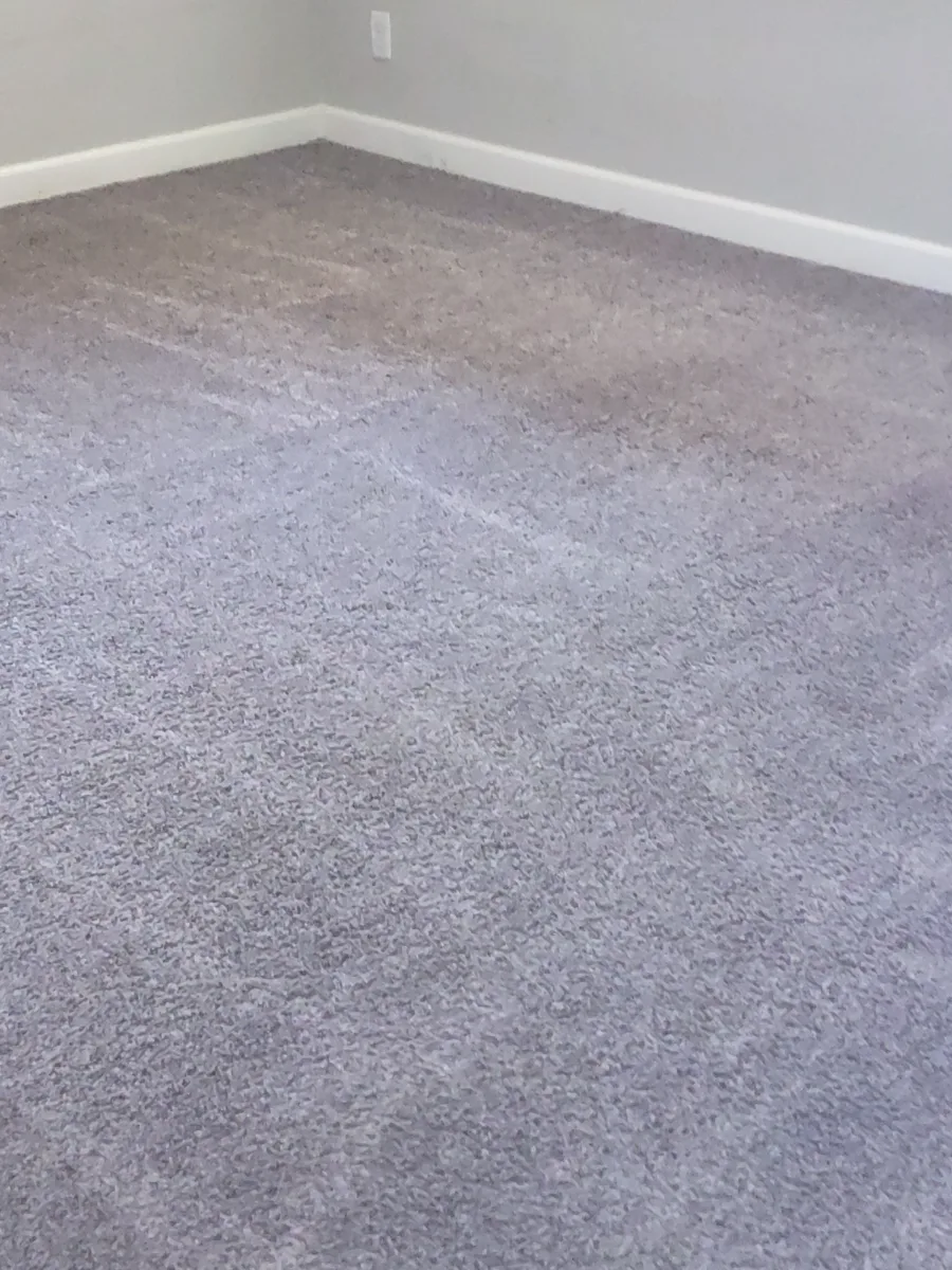Fresh lines in a just-cleaned carpet