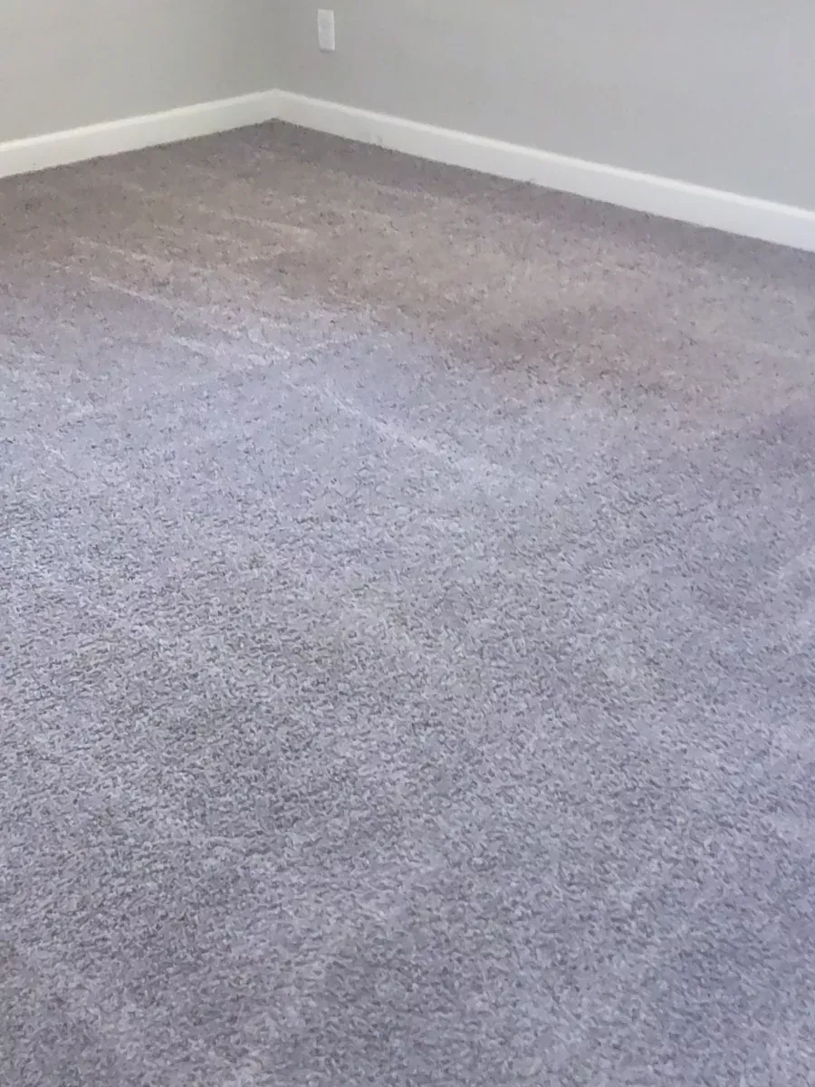 Fresh lines in a just-cleaned carpet