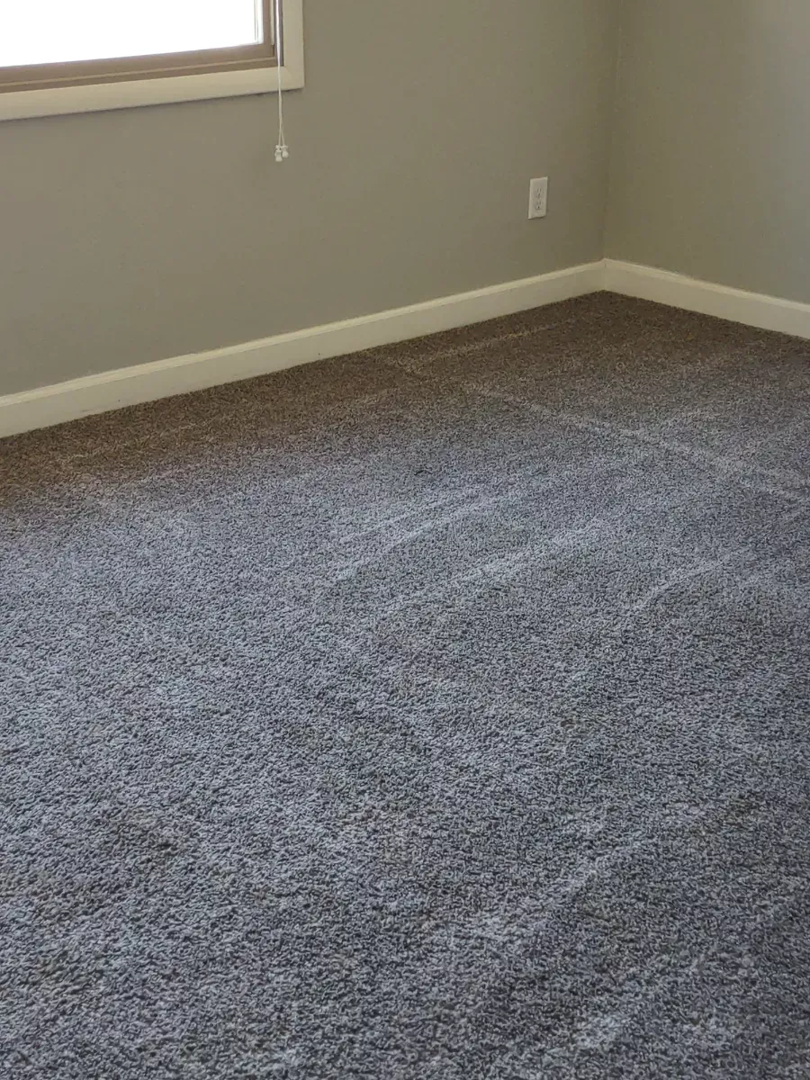Carpet vacuumed edge to edge