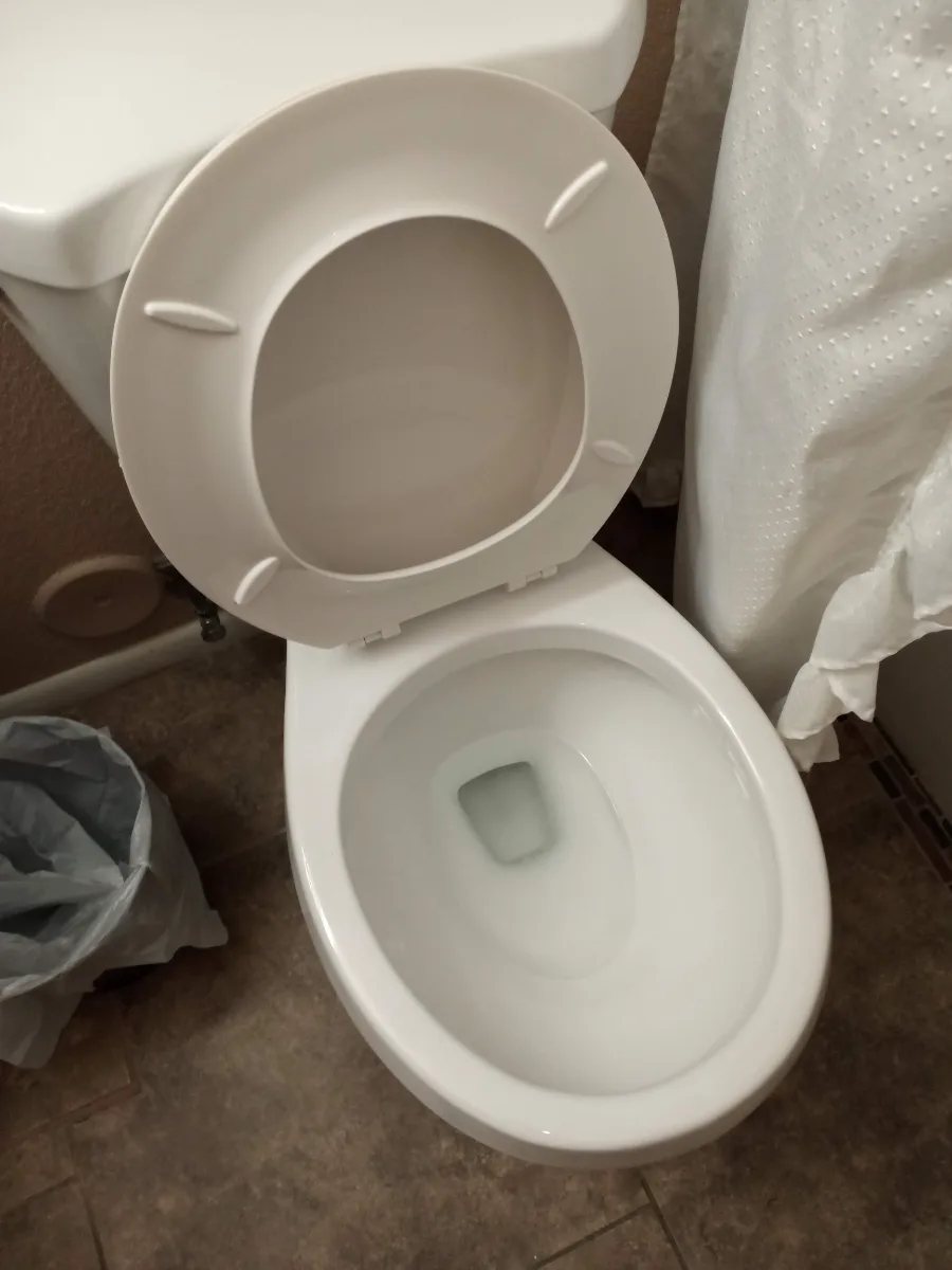 Toilet scrubbed, sanitized and shining